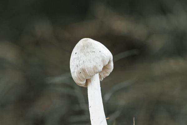 香港永明昇暉保障計(jì)劃值得買嗎？怎么投保收益最高？