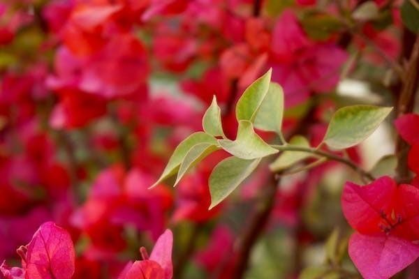百萬醫(yī)療交一年保一年嗎