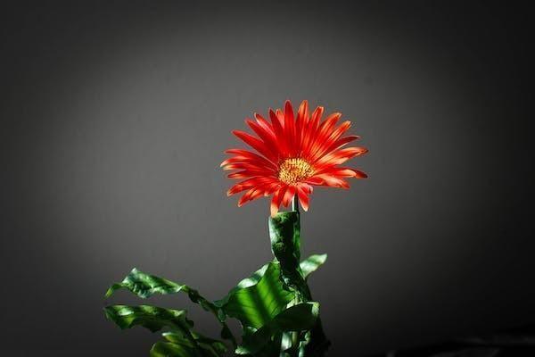 橙易保百萬醫(yī)療保險(xiǎn)公司
