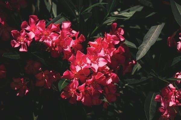 百萬醫(yī)療險(xiǎn)年齡越大越貴嗎