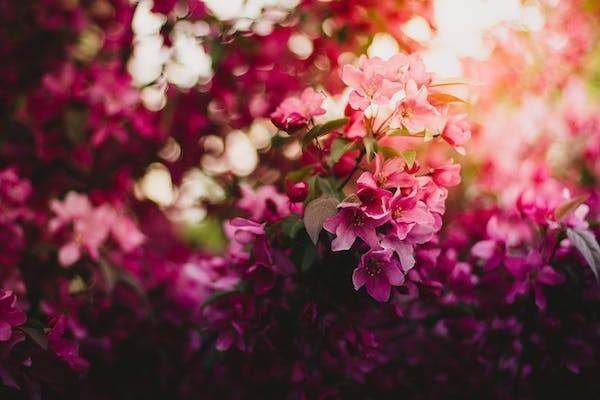 百萬醫(yī)療險(xiǎn)受益人是誰