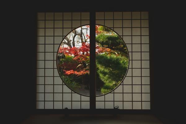 增額終身壽險(xiǎn)合同怎么簽