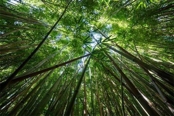 保險(xiǎn)退保需要戶口本嗎現(xiàn)在，金額是多少呢