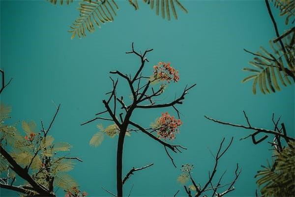 退保險(xiǎn)需要手續(xù)費(fèi)嘛現(xiàn)在