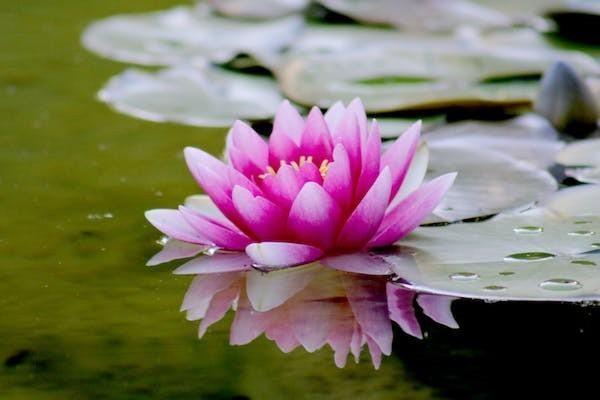 上海人壽穩(wěn)贏一生年金保險怎么樣，值得買嗎