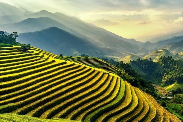 肝硬化可以買百萬醫(yī)療險嗎？報銷范圍有哪些？