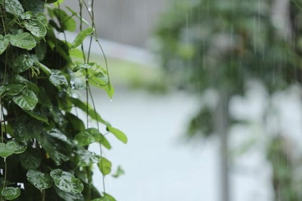 珠江永鑫年年年金保險產(chǎn)品組合計劃保障內容分析？收益如何