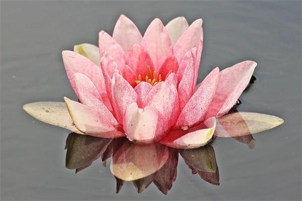 郵政一年交2萬(wàn)連續(xù)交三年保險(xiǎn)靠譜嗎？第四年取出來(lái)嗎？