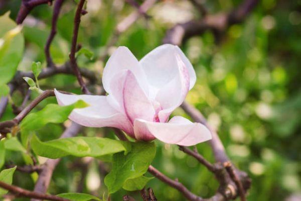 信美相互家道永傳終身壽險(xiǎn)以后能取出嗎？承保公司靠譜嗎？