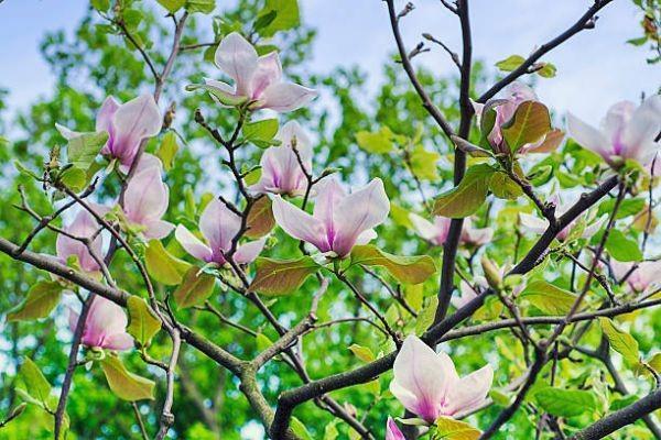 信泰如意尊(創(chuàng)贏版)終身壽險特點(diǎn)詳細(xì)測評？值得買嗎