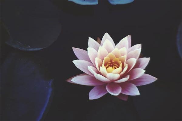揭秘增額終身壽險(xiǎn)：五大優(yōu)勢(shì)打造你的全方位保障
