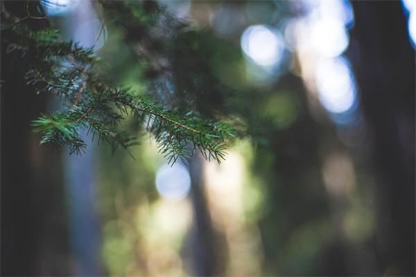 暖寶保2號少兒門急診保險保什么？價格是多少？