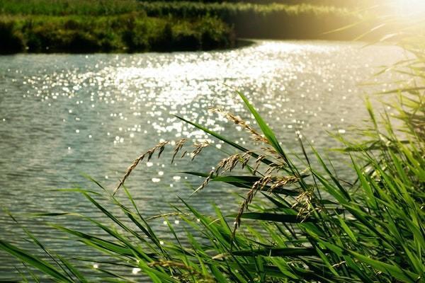 平安智富人生a萬能保險(xiǎn)詳解是什么？有什么特點(diǎn)？