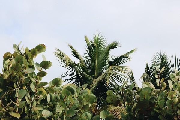 如何選擇少兒門診險(xiǎn)？如何購(gòu)買少兒門診險(xiǎn)？