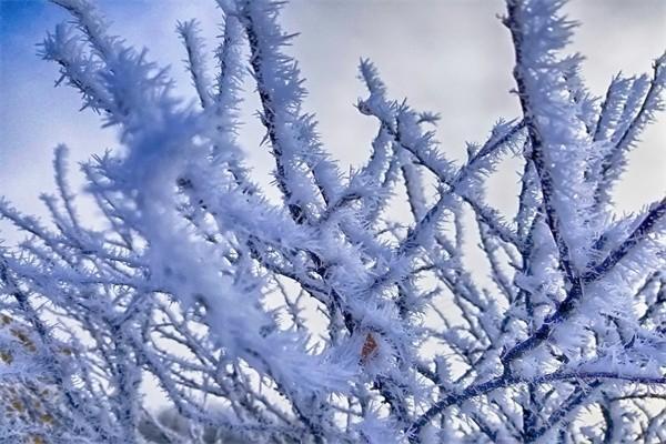 愛心人壽樂養(yǎng)多3號養(yǎng)老年金險(xiǎn)投保條件是什么？現(xiàn)金價(jià)值如何？