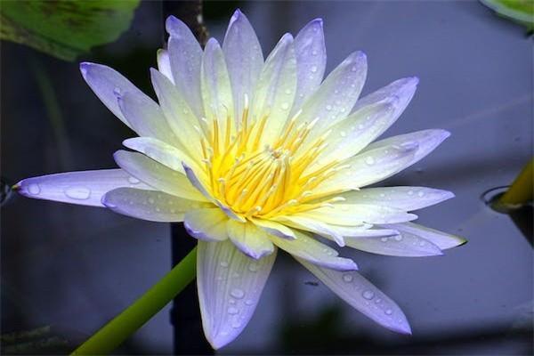 2024年養(yǎng)老金計算全解析：不同類型養(yǎng)老保險退休收入是多少？