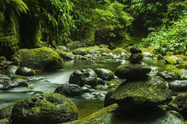 養(yǎng)老年金險與增額終身壽險：如何為養(yǎng)老做好規(guī)劃？