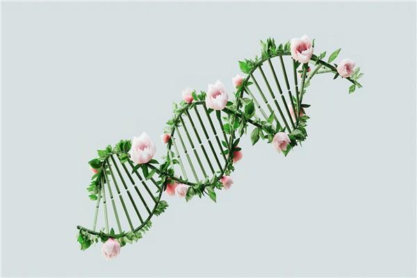友邦愛伴航重疾險特點有哪些？哪里可以買？