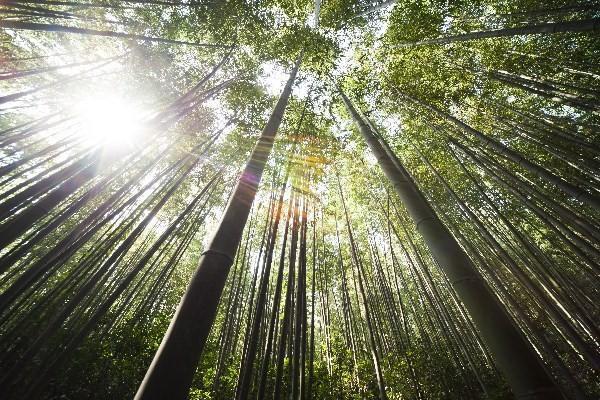 太平洋安行寶兩全保險(xiǎn)交夠十年了可以取嗎？保險(xiǎn)合同到期后無(wú)效情形解析？