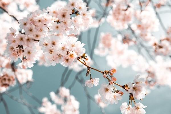 新華保險住院無憂報銷比例