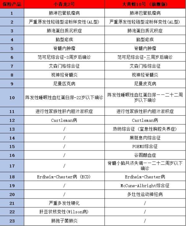 大黃蜂10號旗艦版與君龍小青龍2號