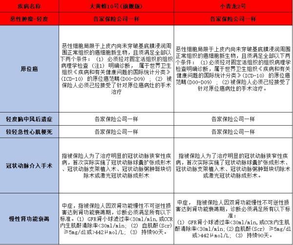 大黃蜂10號旗艦版與君龍小青龍2號