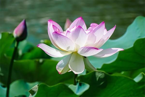 15年社保2024年退休能領(lǐng)多少錢？深度解析來(lái)了！