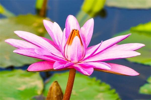 平安萬(wàn)能險(xiǎn)一年6000交滿20年