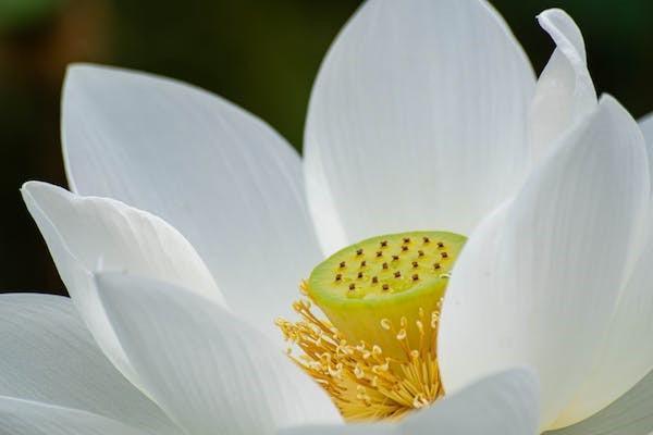 城鄉(xiāng)居民養(yǎng)老保險最低檔和最高檔是多少？這篇文章告訴你答案