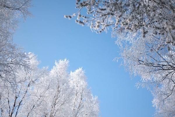 退保費(fèi)用比例怎么算？退保費(fèi)用多久會到賬？