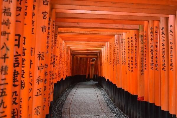 農(nóng)銀愛守護交3年可退保么？農(nóng)銀人壽退保的流程？