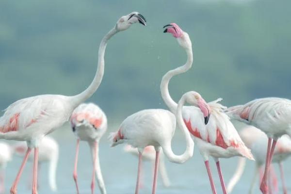 個人如何買養(yǎng)老保險金？養(yǎng)老保險要買多少年？