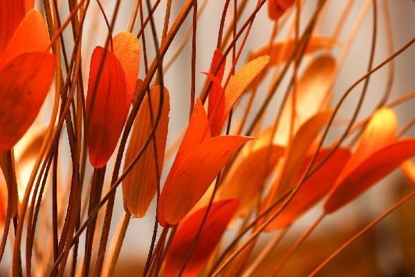 今年養(yǎng)老保險(xiǎn)一年交多少錢(qián)2024？怎么交最劃算？