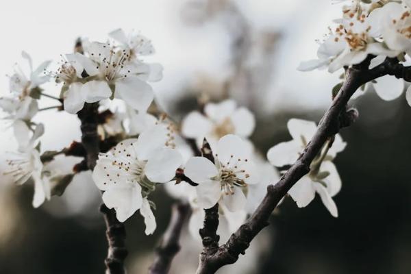 職工醫(yī)保和職工意外報(bào)銷比例是多少？流程是什么？