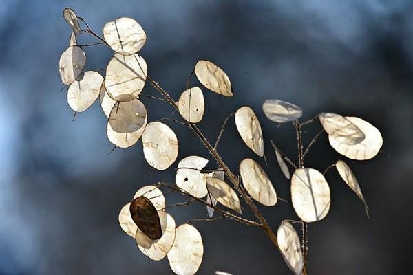 安逸花逾期起訴費(fèi)用需要自己承擔(dān)嗎，利息太高該如何