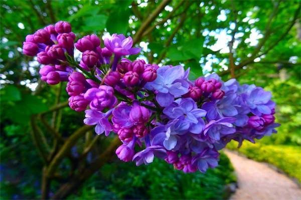 保險(xiǎn)不想交了怎么處理好？五大策略助你妥善處理