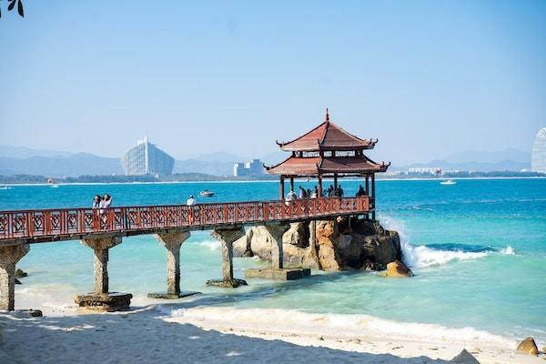 國壽鑫退保能退多少錢？退保流程是什么？