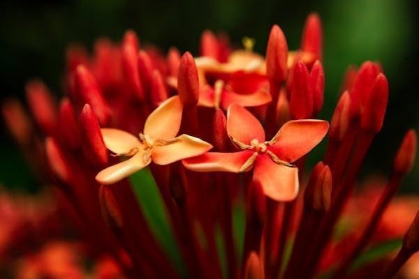 分紅險(xiǎn)退保能拿回多少？退保需注意的問(wèn)題？