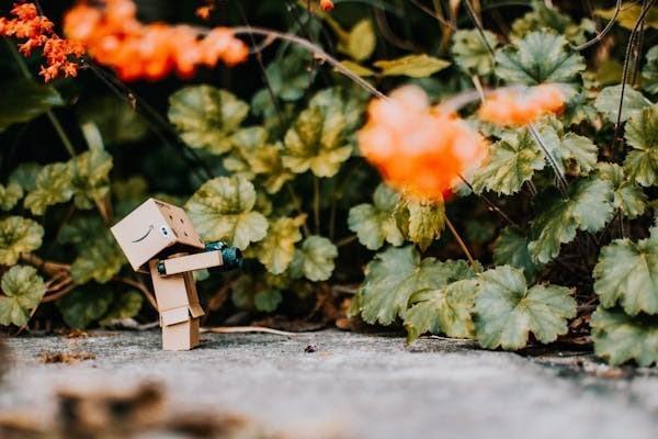 太平洋退保怎么算退保費(fèi)？太平洋保險(xiǎn)退保流程？