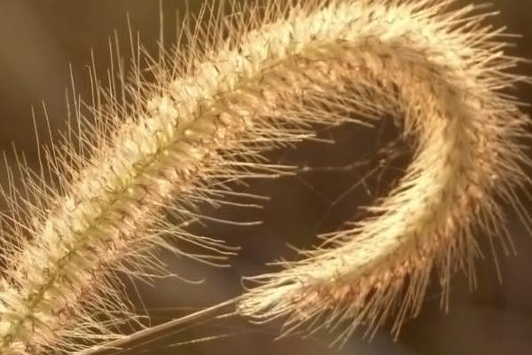 太平退保如何操作？退保要注意什么？