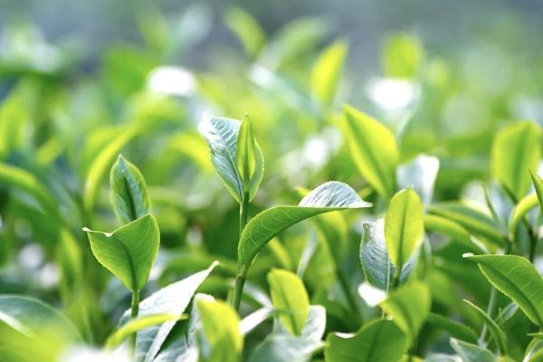 醫(yī)享無憂百萬醫(yī)療險在哪里購買？有哪些亮點？