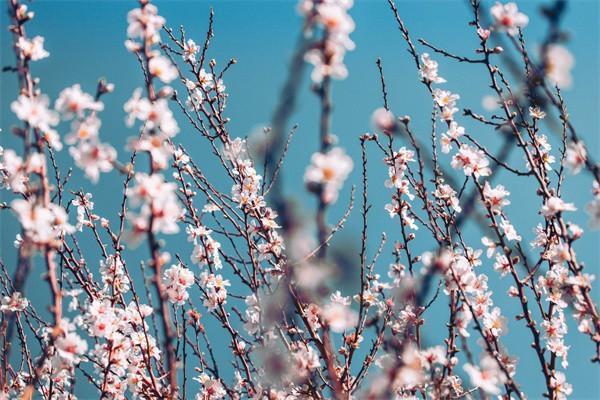 什么是農(nóng)村100元意外險(xiǎn)？可以和新農(nóng)合一起報(bào)銷嗎？