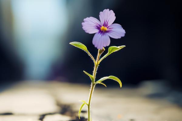 居民養(yǎng)老保險補繳怎么交？補繳劃算嗎？