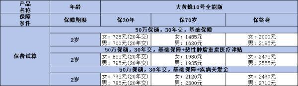 大黃蜂10號附加險應(yīng)該怎么選？附加險攻略，讓你輕松為孩子挑選最佳保障！