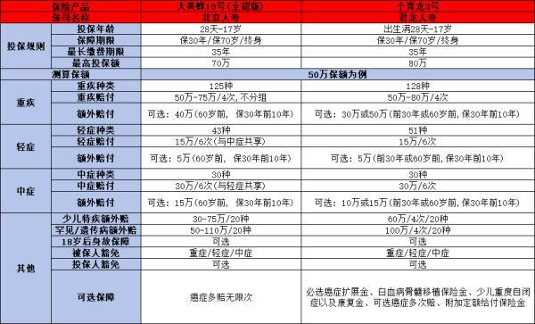 北京人壽大黃蜂10號重疾險(xiǎn)如何