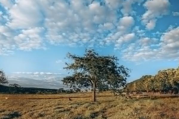商業(yè)保險可以退保嗎？退保能拿回多少保費(fèi)？