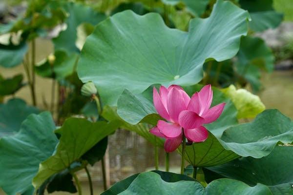 保險(xiǎn)不想交了怎么退