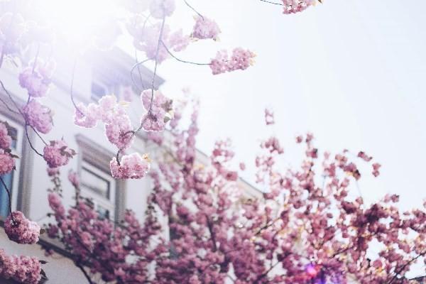 出完險(xiǎn)可以退保嗎