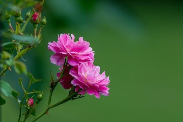 香港保險優(yōu)勢解析？買香港保險要注意什么？
