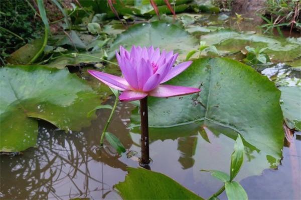 重疾險(xiǎn)保額10萬夠用嗎？從這五個方面來看